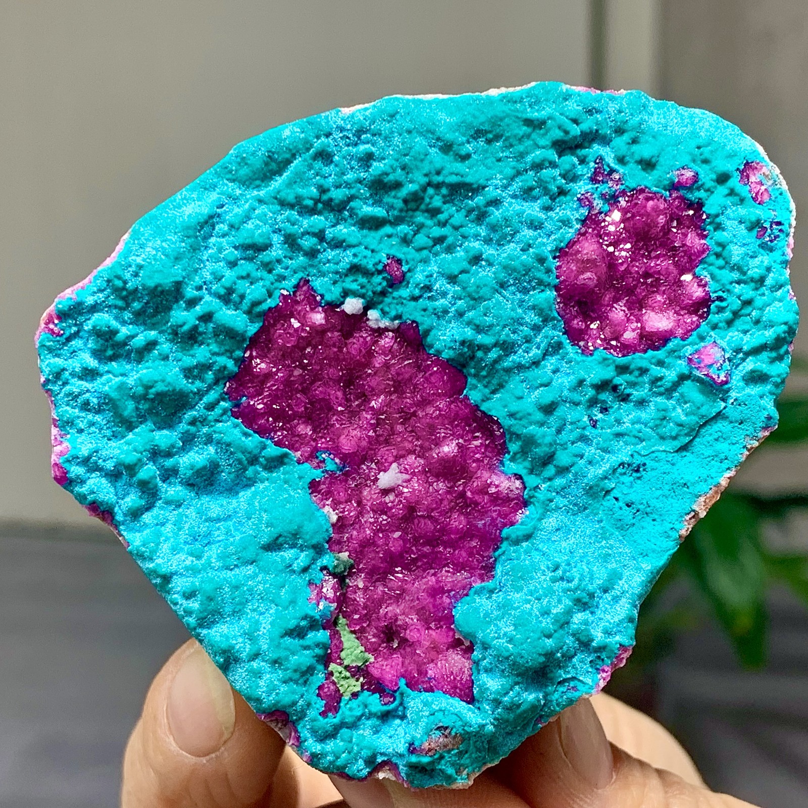 177G Natural Purple Pink CobaltoCalcite + Chrysocolla Gemstone Rare Mineral