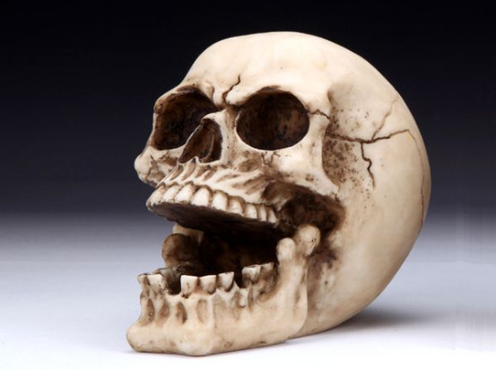 Skull Ashtray Figurine Statue Skeleton Halloween