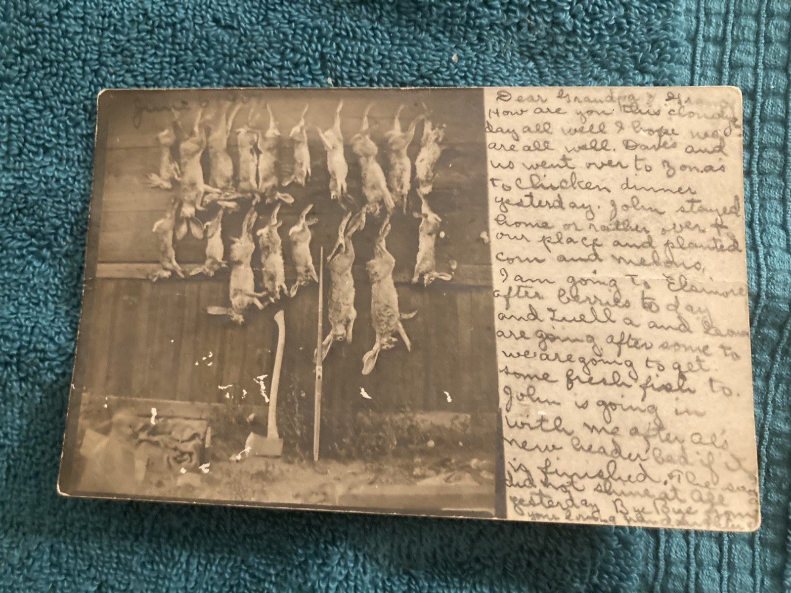 RPPC Rabbit Hunting Lake Elsinore California Posted 1907 to: Garvanza