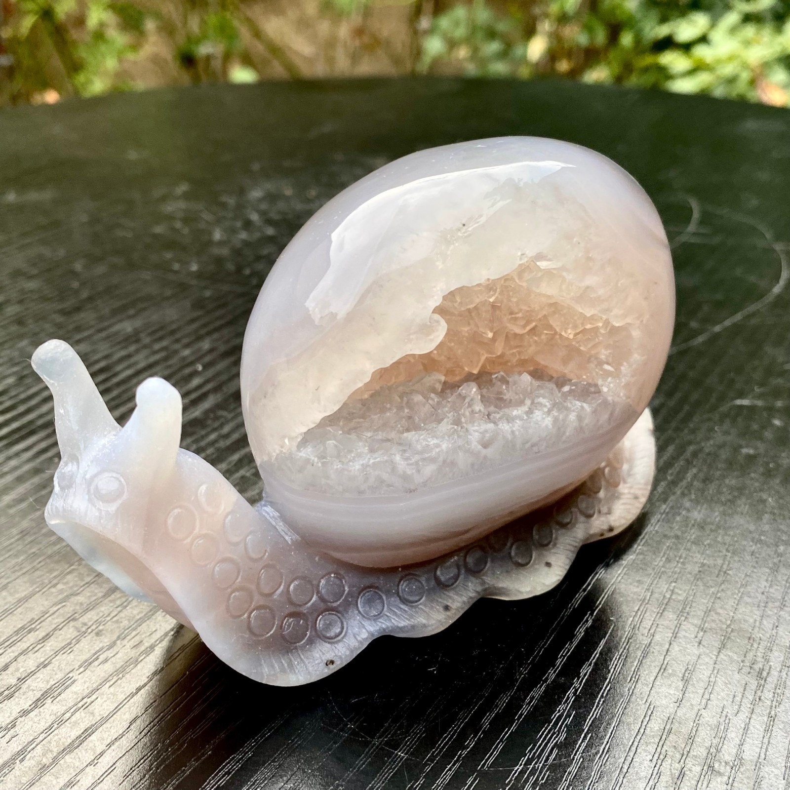 1.1LB  Natural Purple Agate Geode Snail Carving Crystal Animal Statue Home
