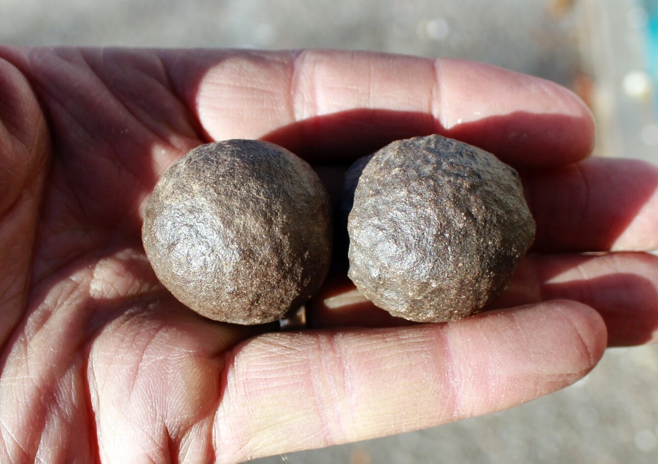 Moqui Marbles • Iron Concretions • One Pair, About 1.50\ Moqui Marbles • Iron Concretions • One Pair, About 1.50\