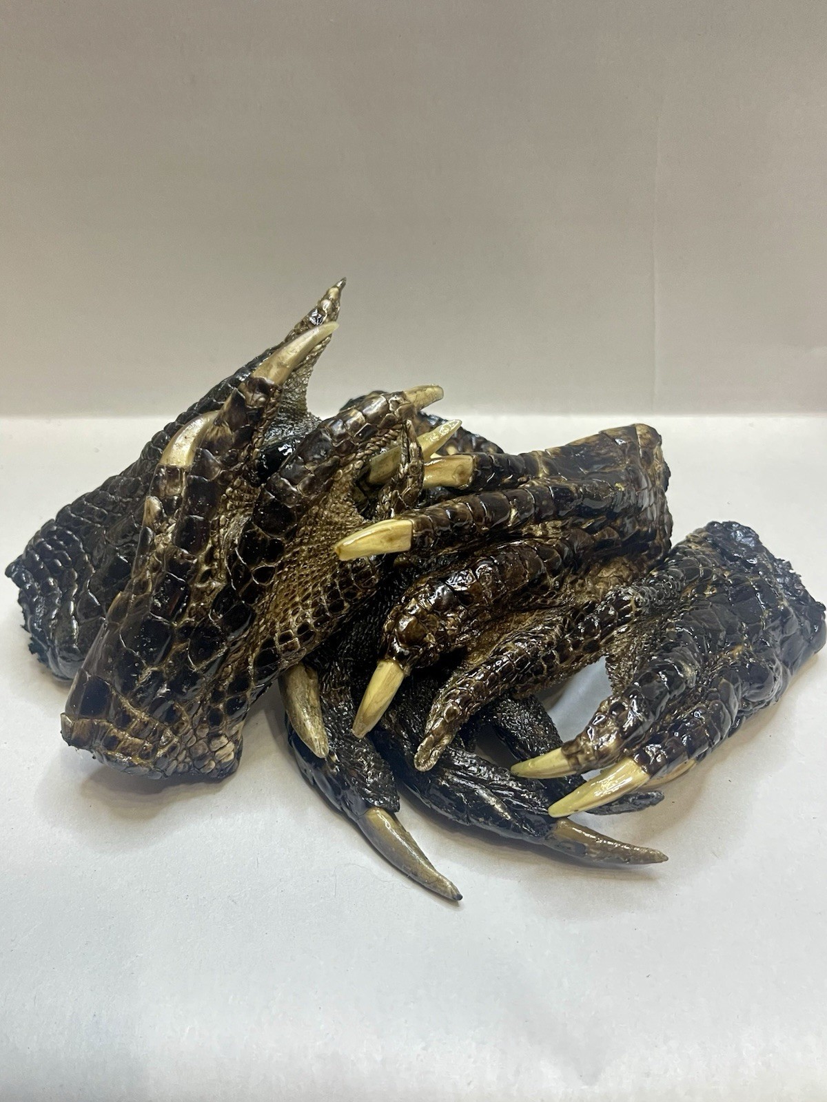 Lot Of 5 Large American Alligator Feet 4-6” Louisiana