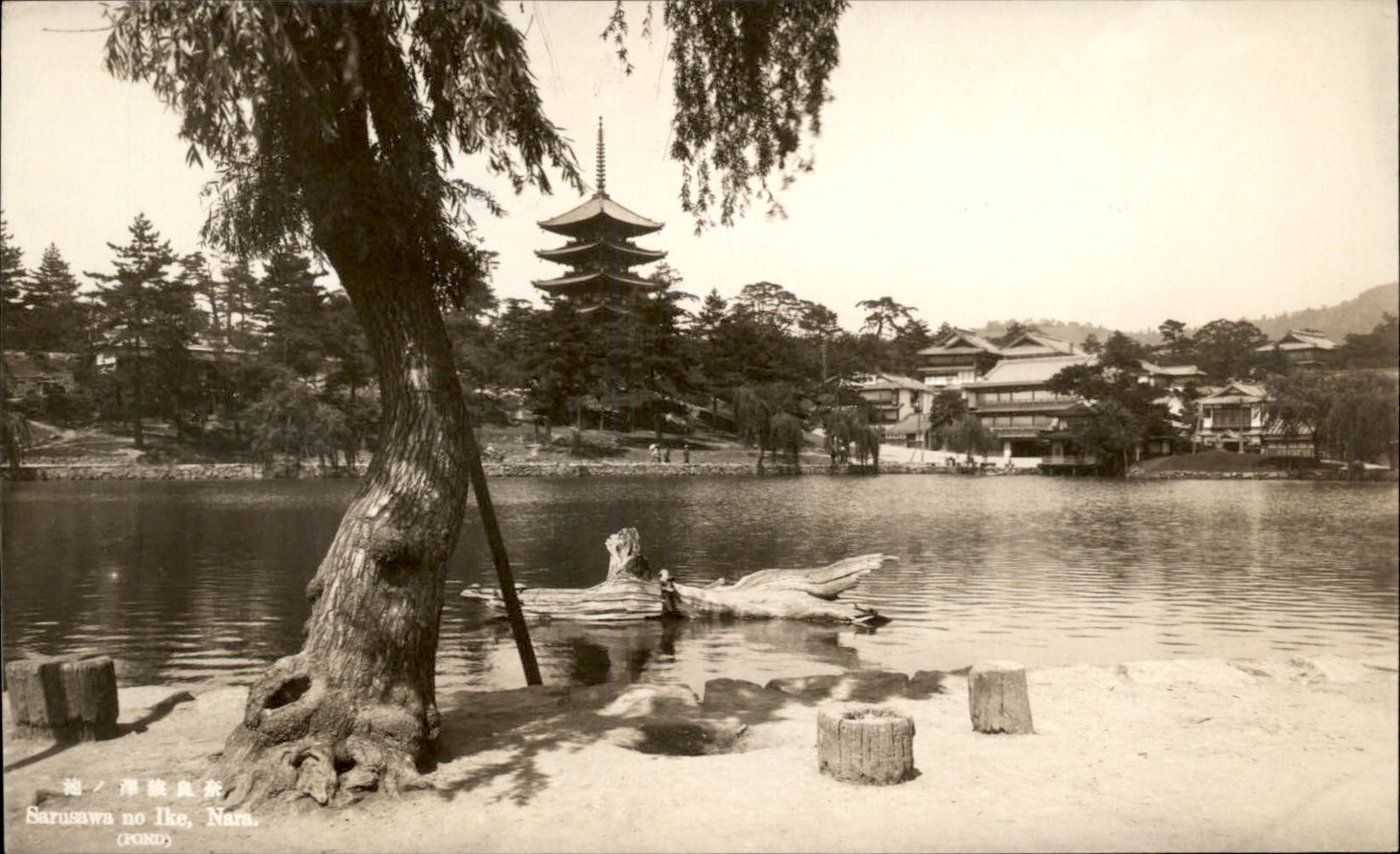 Nara Sarusawa no Ike GTSC c1920s-30s Real Photo Vintage Postcard