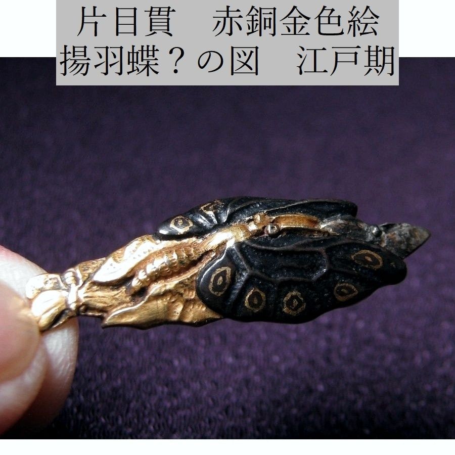 Antique Japanese Shakudo Menuki Winged Insect Gold Tone Edo Period 4.13cm Antique Japanese Shakudo Menuki Winged Insect Gold Tone Edo Period 4.13cm