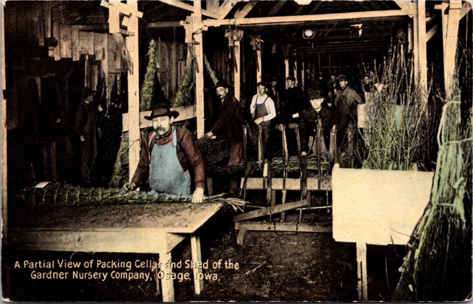 PC Partial View Packing Cellar and Shed of the Gardner Nursery Co Osage Iowa