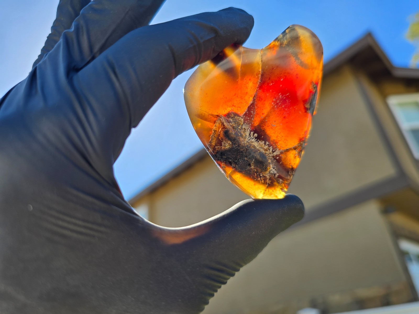 51g Polished Indonesian Blue Amber Specimen Rare Ancient Lichen Fossil Inclusion