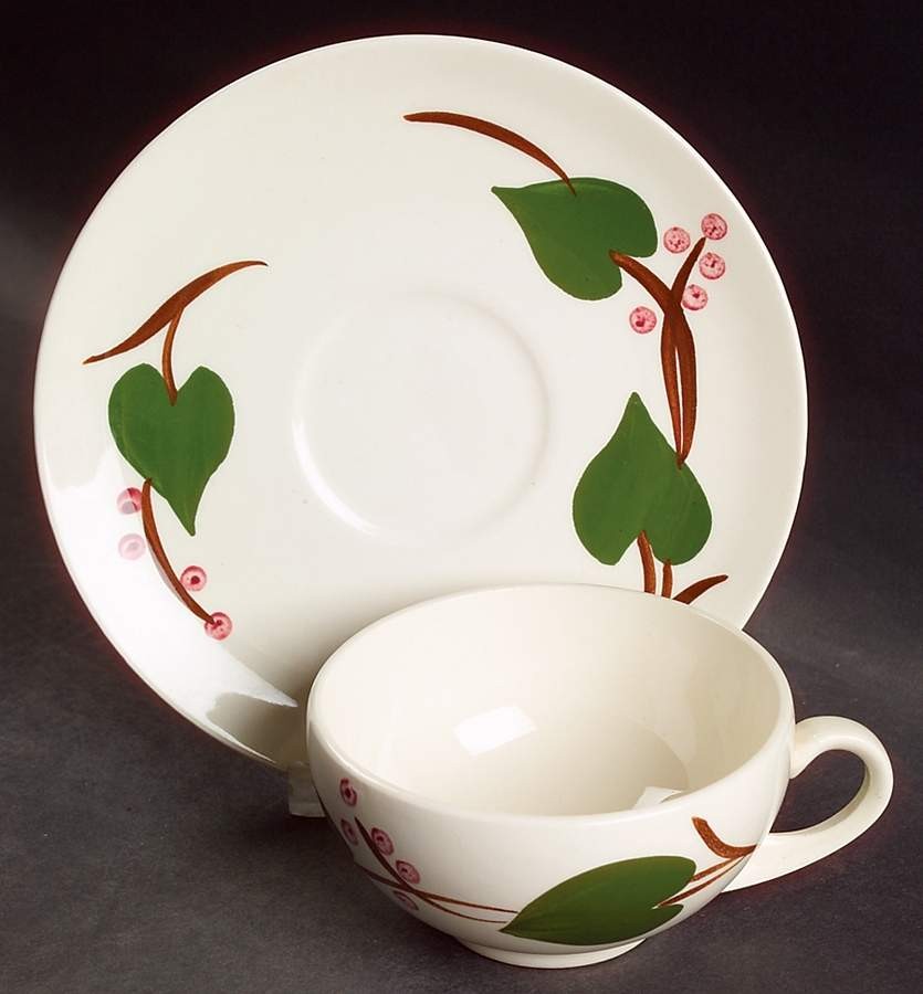Blue Ridge Southern Pottery Stanhome Ivy Cup & Saucer 6594392