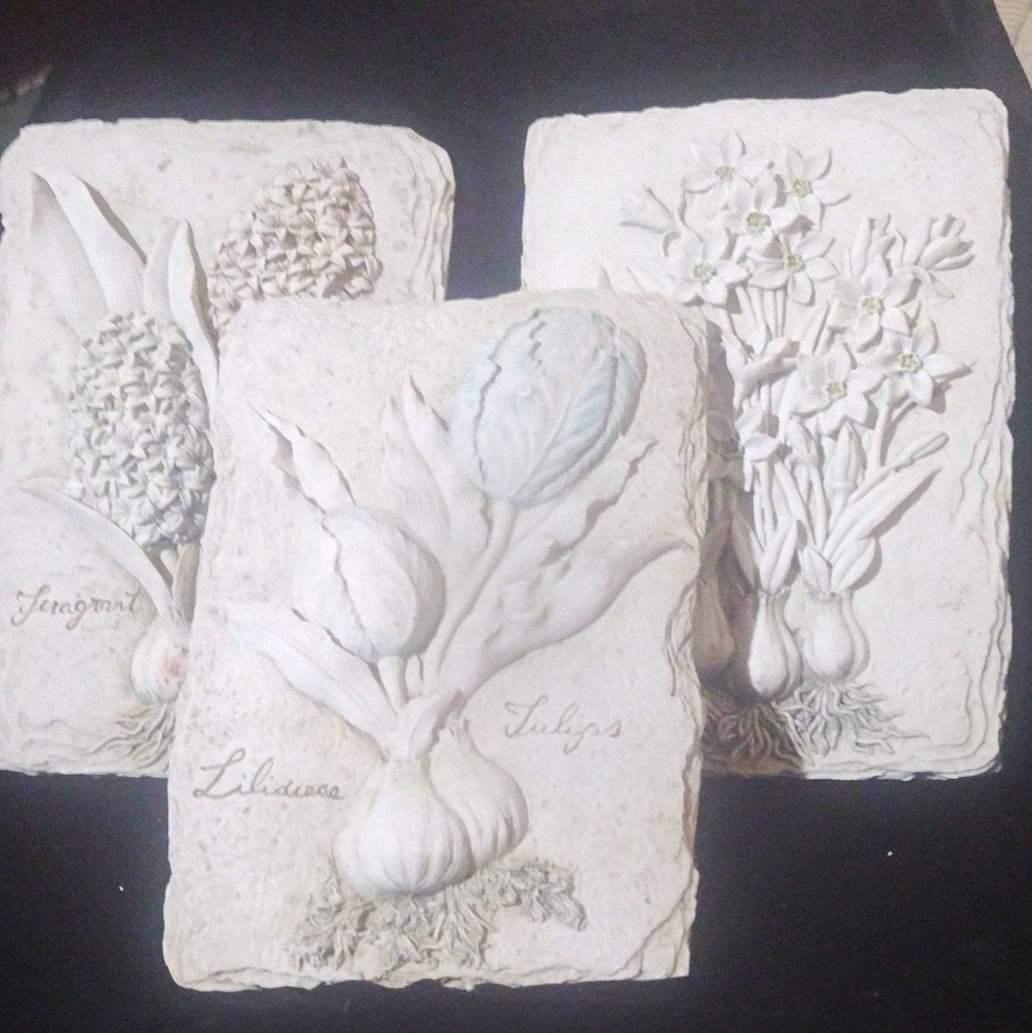 8 1/2 X 6 vintage 3D botanical wall plaque 8 1/2 X 6 vintage 3D botanical wall plaque