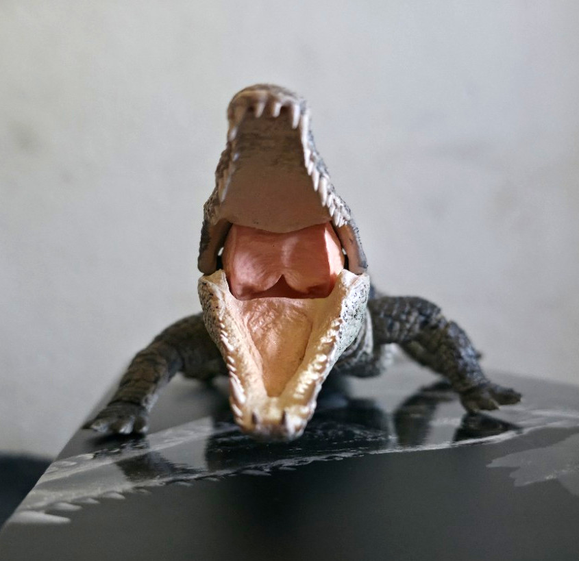 Bandai Tamashii Nations Crocodylus niloticus Crocodile (Light Color) With Box.