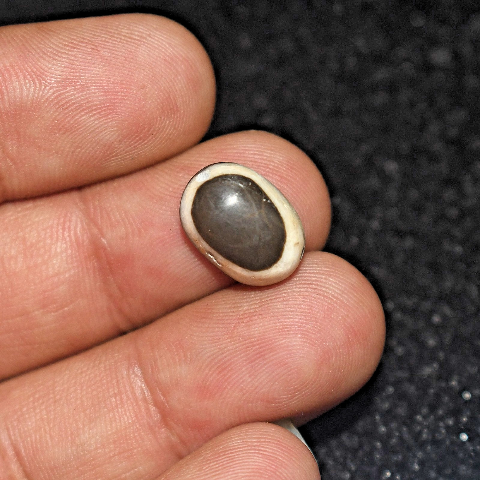 Genuine Ancient Tibetan Himalayan Banded Stone Lukmik Dzi Goat Eye Bead