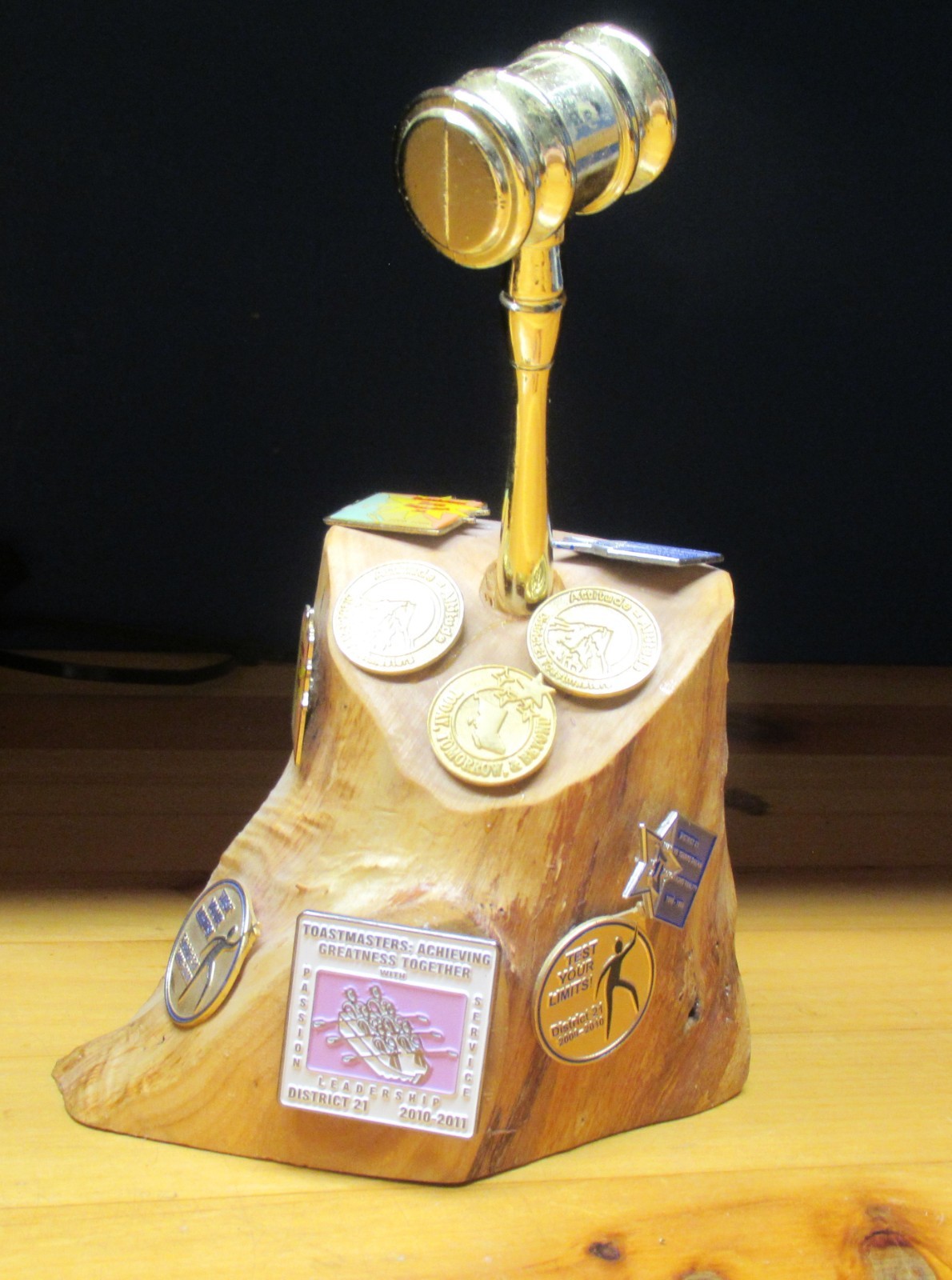 TOASTMASTERS - Lifetime of Awards & Pins