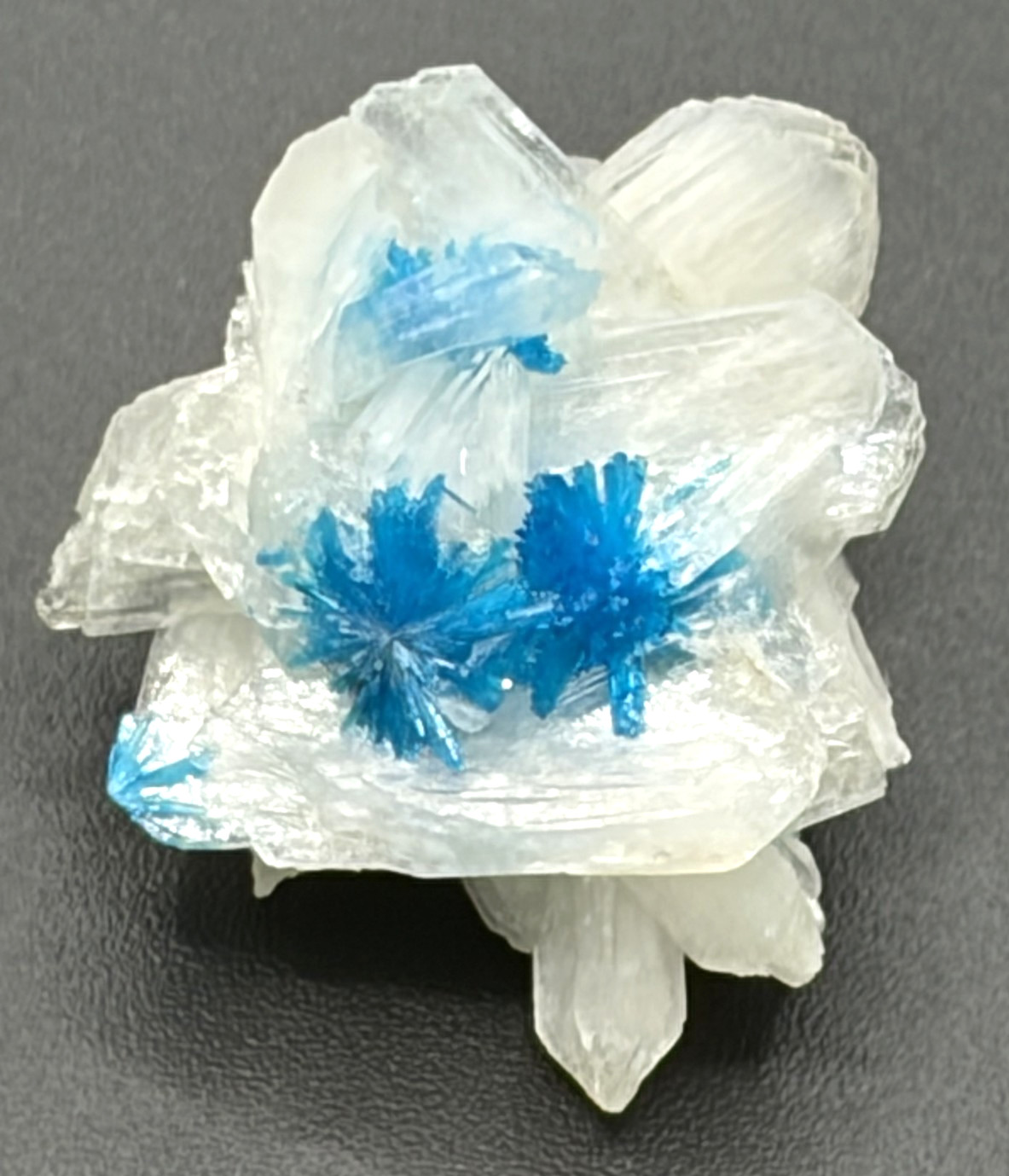 CAVANSITE AND STILBITE SPECIMEN CAVANSITE AND STILBITE SPECIMEN