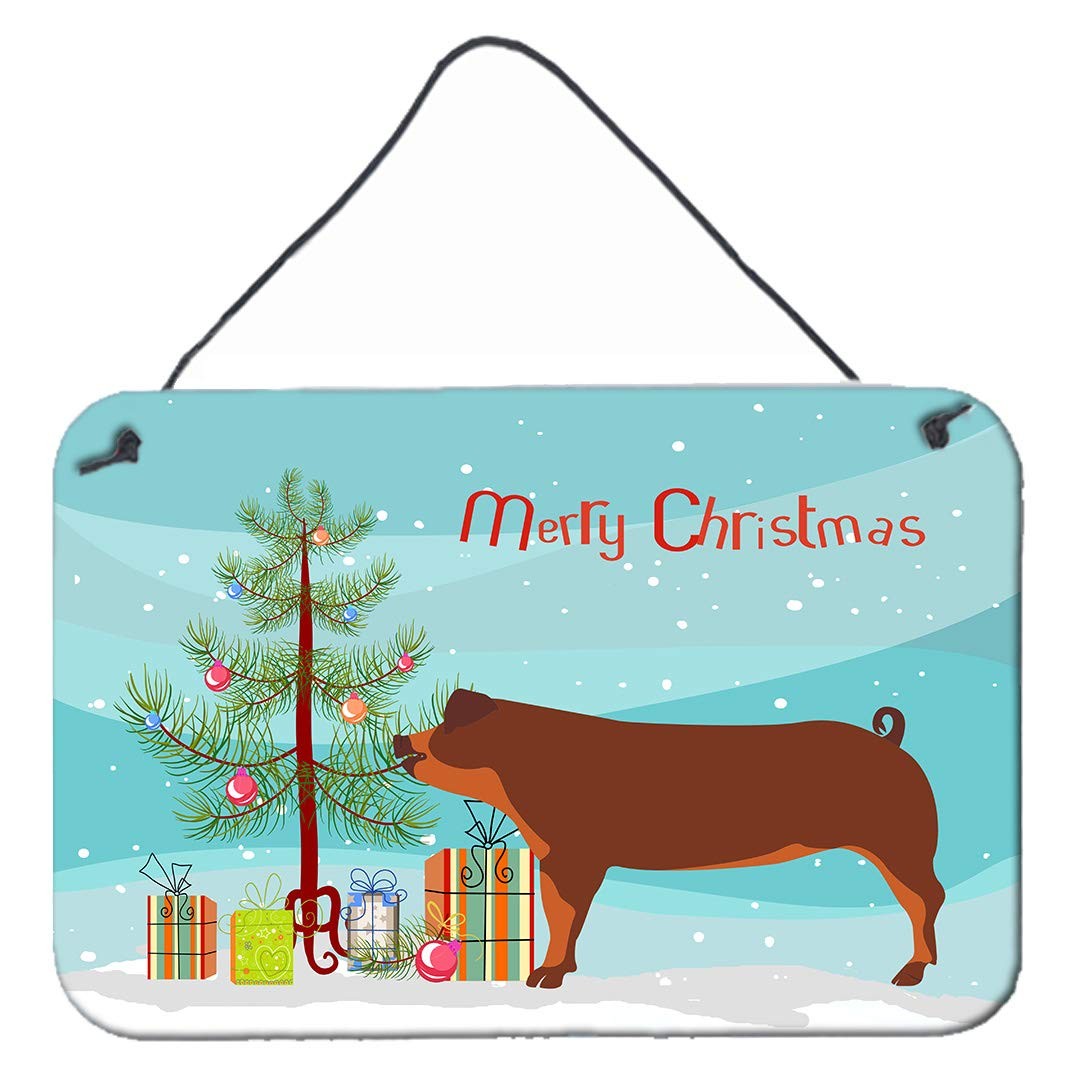 Caroline\'s Treasures BB9309DS812 Duroc Pig Christmas Teal Aluminum Sign 8x12 Caroline\'s Treasures BB9309DS812 Duroc Pig Christmas Teal Aluminum Sign 8x12