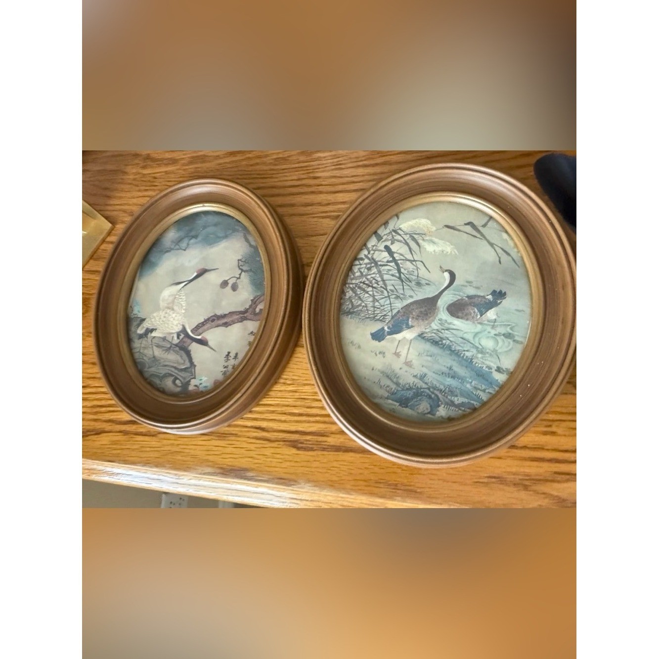 Vintage Wooden Oval Frames Duck Crane Wall Art (2 pc)