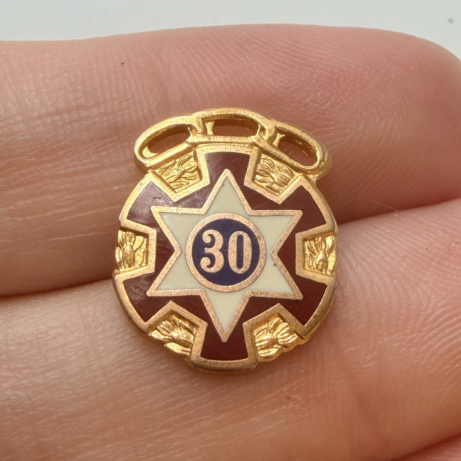 IOOF 30 Years Service Star Lapel Pin Independent Order Of Odd Fellows Vintage IOOF 30 Years Service Star Lapel Pin Independent Order Of Odd Fellows Vintage