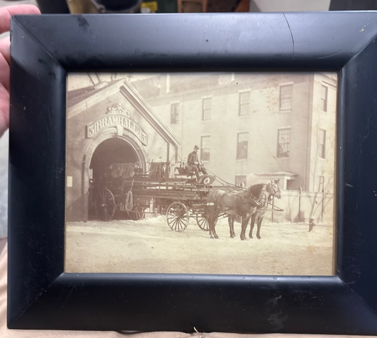 Rare picture of Portland fire dept horse drawn hook and ladder   Maine Antique 