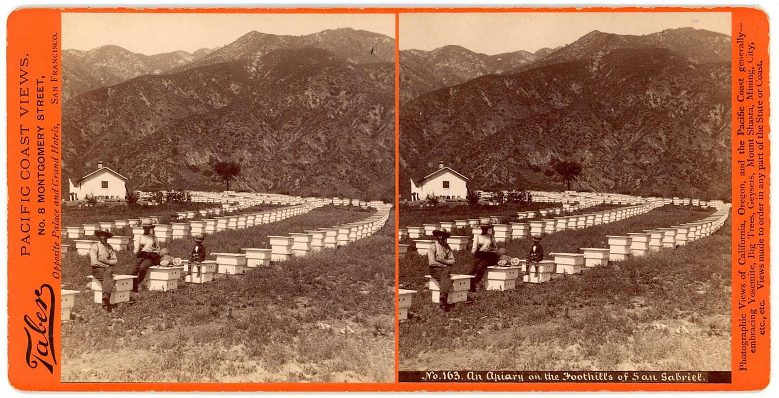 LOS ANGELES STEREOVIEW - Apiary at San Gabriel Foothills - IW Taber 1880s RARE