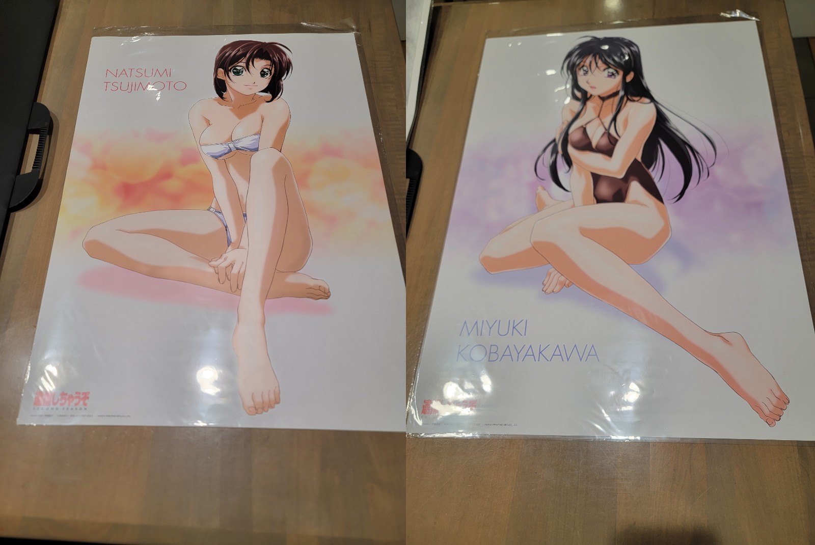 JP Poster of Natsumi Tsujimoto-Miyuki Kobayakawa You're Under Arrest Season 2