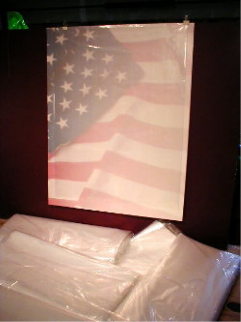 Plastic Bags for Old Brochures,Pamphlets,Maps Storage Sleeves 4\