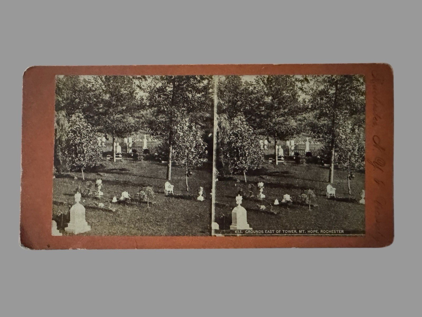 Antique Mt Hope Cemetery Rochester NY Stereoview Grounds East of Tower #653