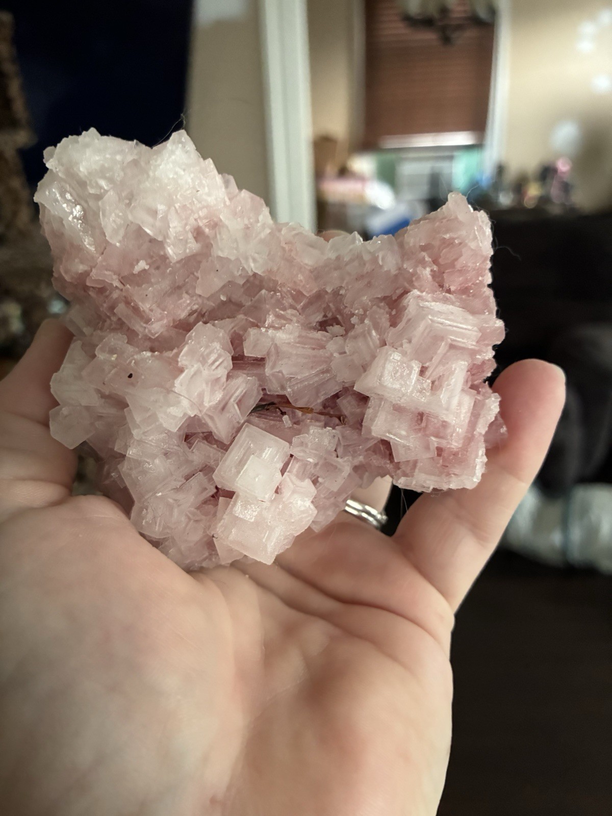 Pink Halite Cluster