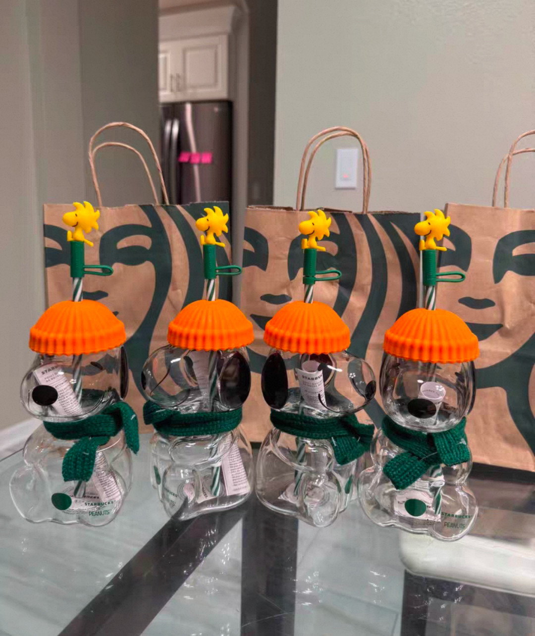 NEW 2026 Starbucks x Peanuts® Snoopy Clear Glass Cold Cup Tumbler IN HAND NEW 2026 Starbucks x Peanuts® Snoopy Clear Glass Cold Cup Tumbler IN HAND