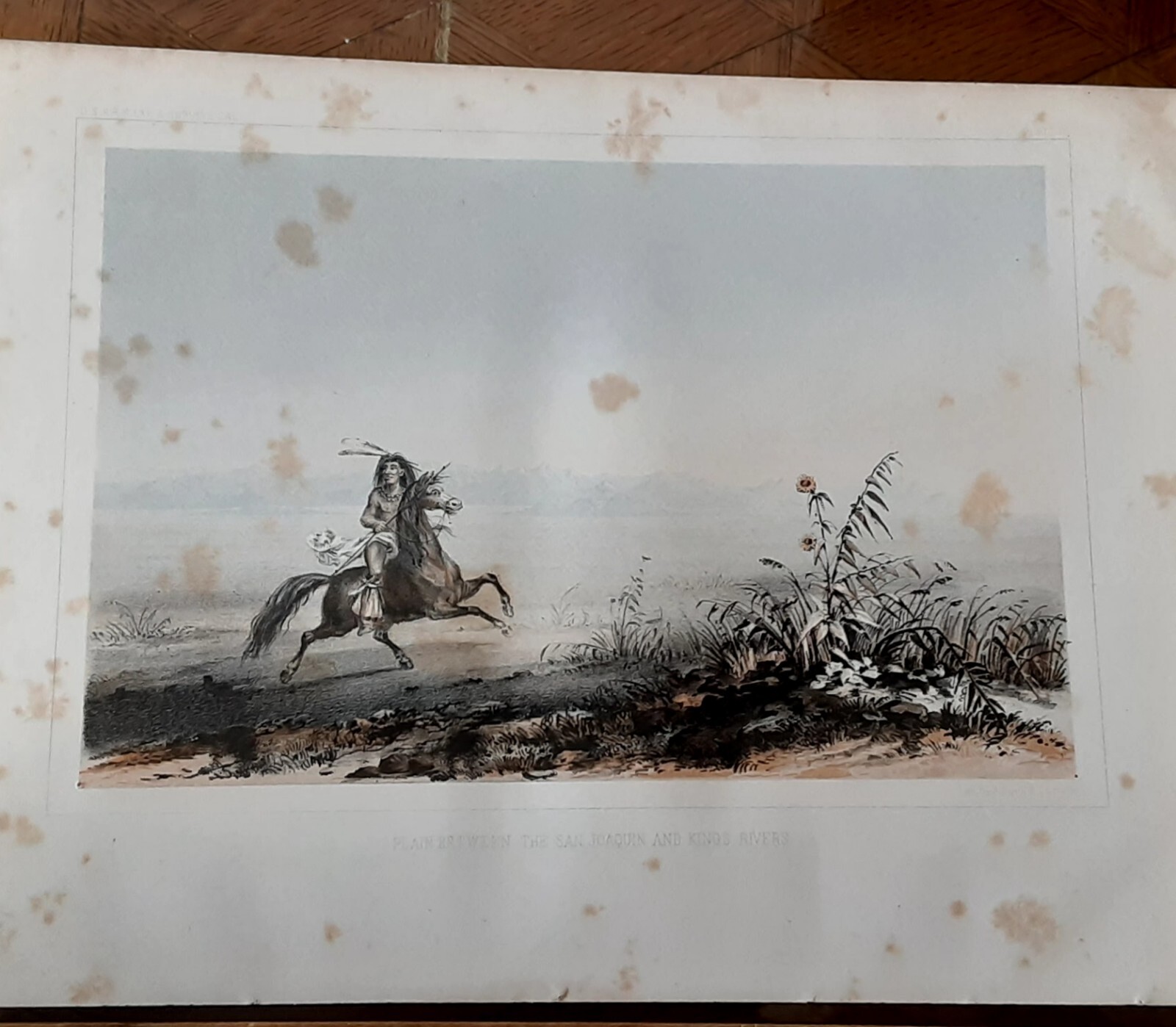 Orig 8.5x11\