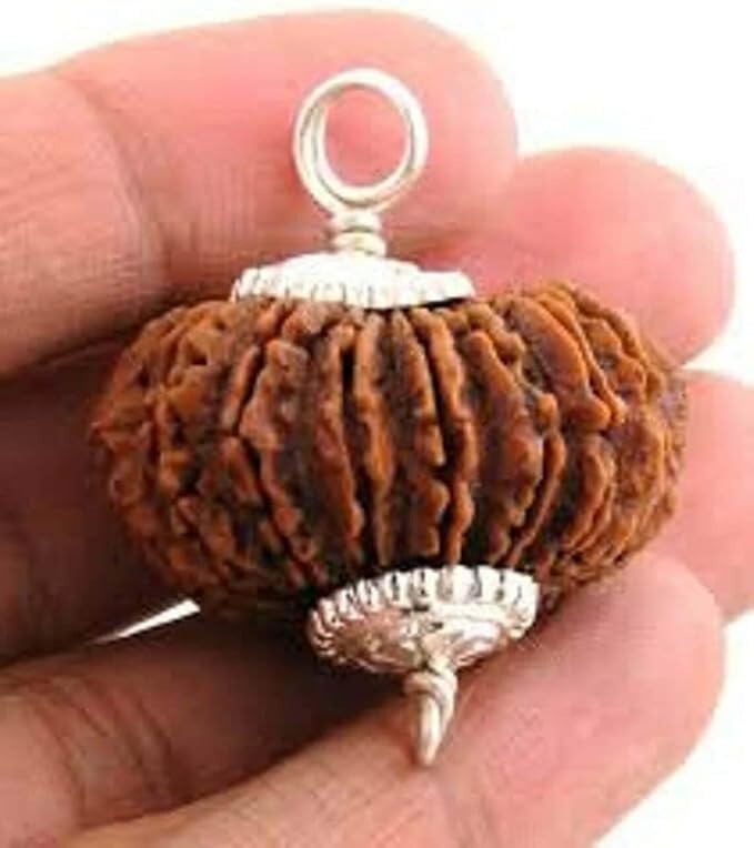 17 Mukhi Rudraksha Pendant, Lab Certified, Silver, 18-20mm, Indonesian Origin 17 Mukhi Rudraksha Pendant, Lab Certified, Silver, 18-20mm, Indonesian Origin