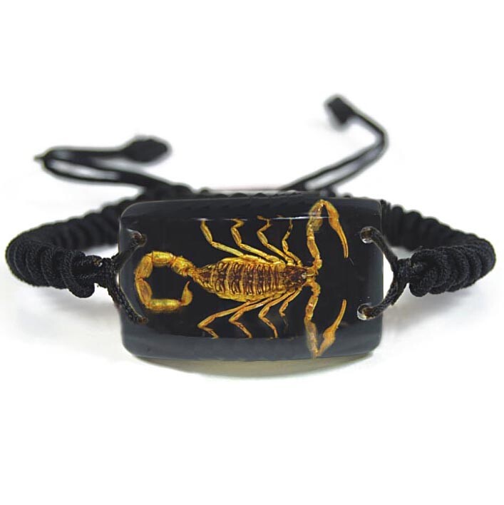 REAL GOLD BLACK SCORPION BRACELET PRESERVED SPECIMEN ADJUSTABLE BAND