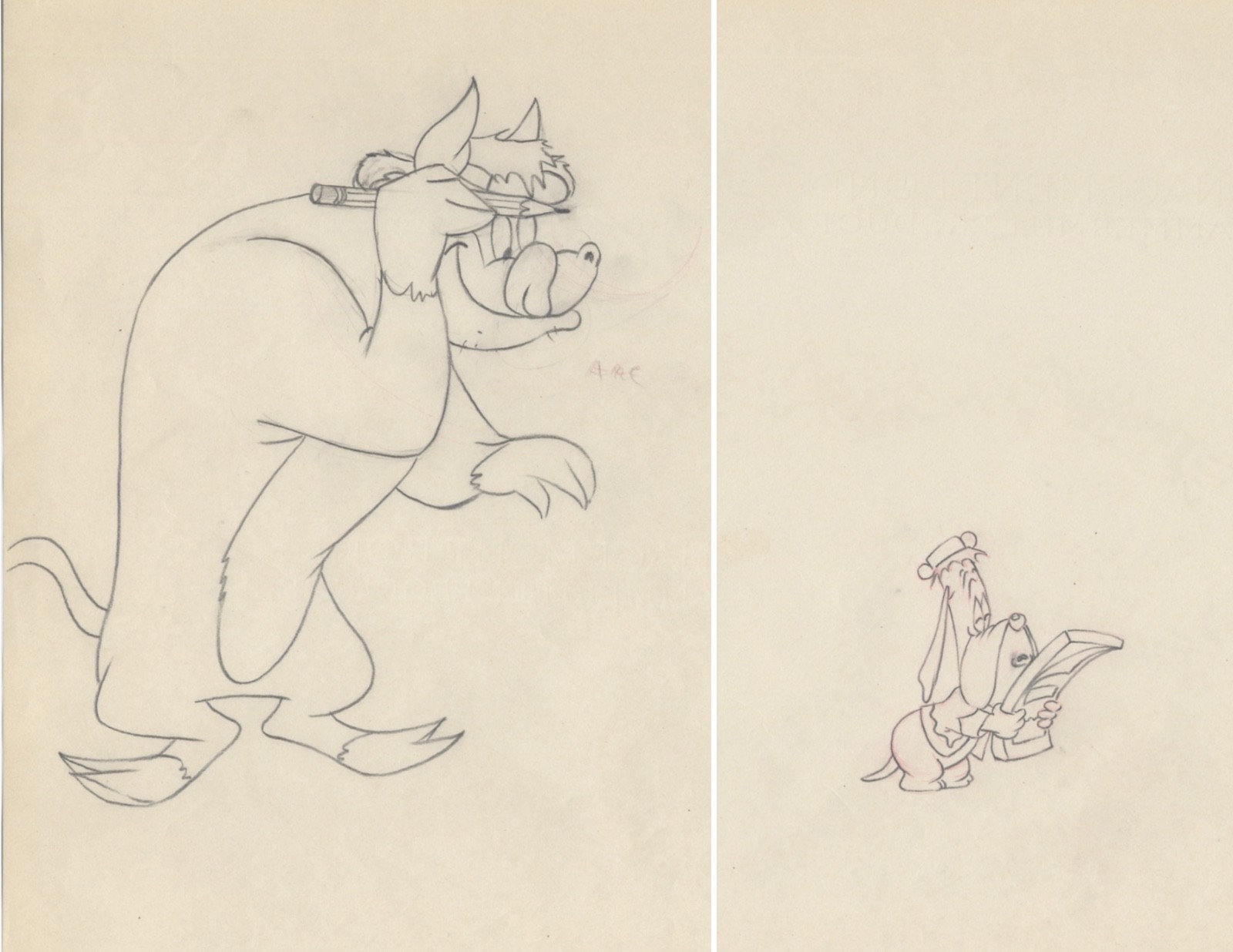 2 M-G-M Tex Avery SENOR DROOPY Animation Drawing of DROOPY and the BULL, 1949