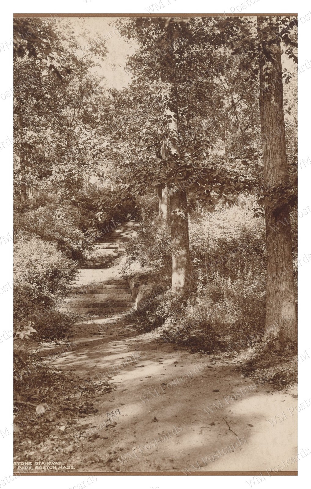 Boston Massachusetts 1906 Franklin Park Stone Stairway Standard Postcard Boston Massachusetts 1906 Franklin Park Stone Stairway Standard Postcard