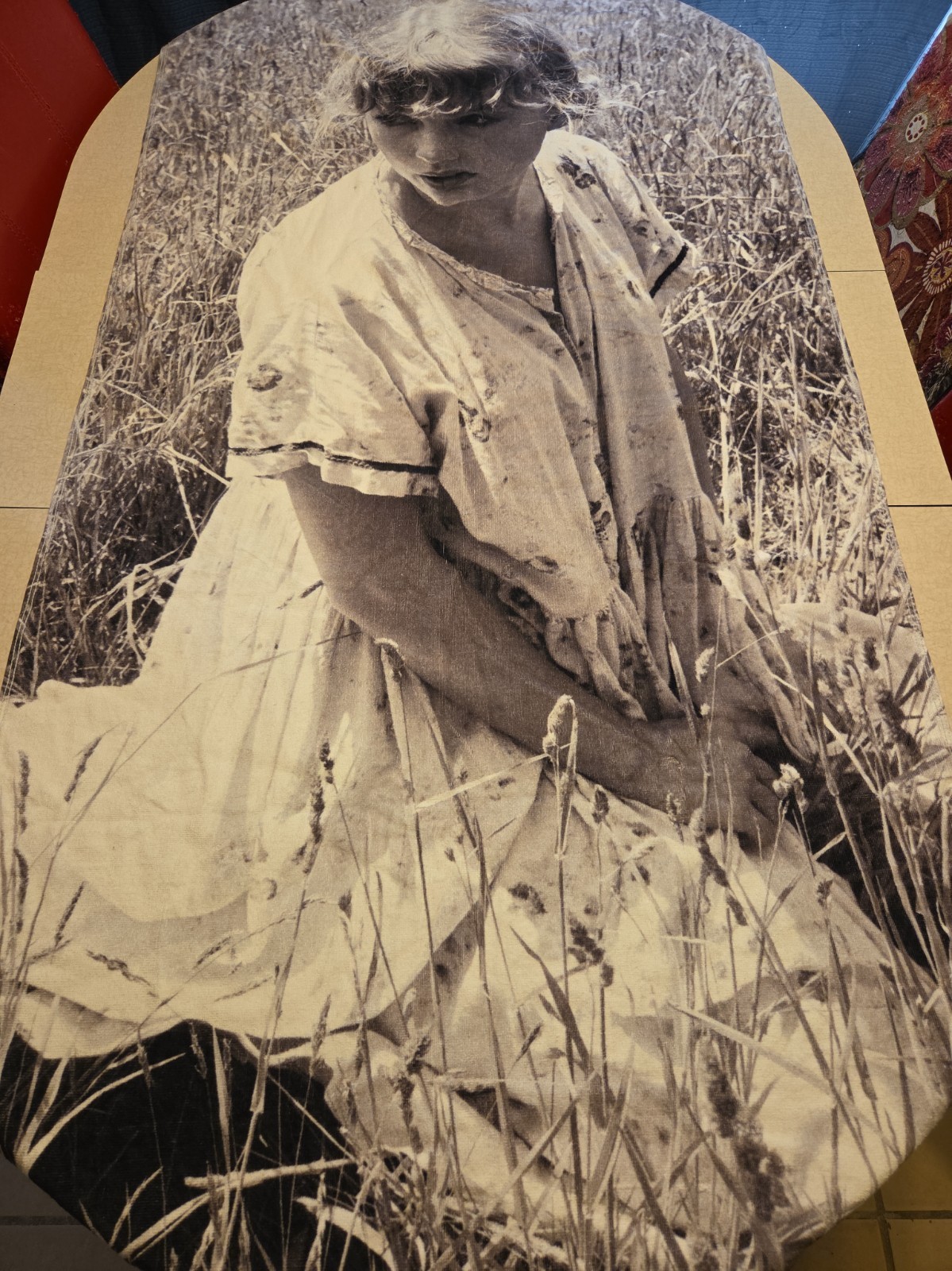Taylor Swift Beach Towel Folklore Betty's Garden