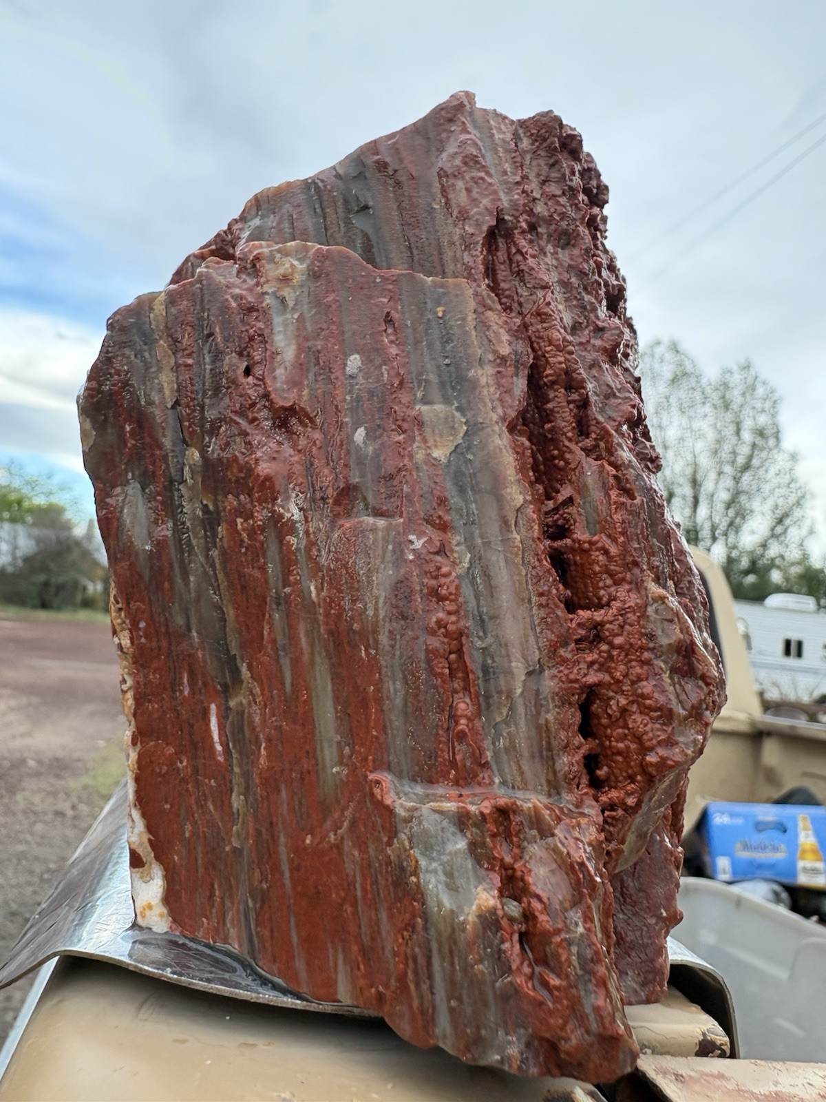 ☘️RR⛏️: Druzy Red Chalcedony Arizona Petrified Wood, 2+ Lb 🌈 ☘️RR⛏️: Druzy Red Chalcedony Arizona Petrified Wood, 2+ Lb 🌈