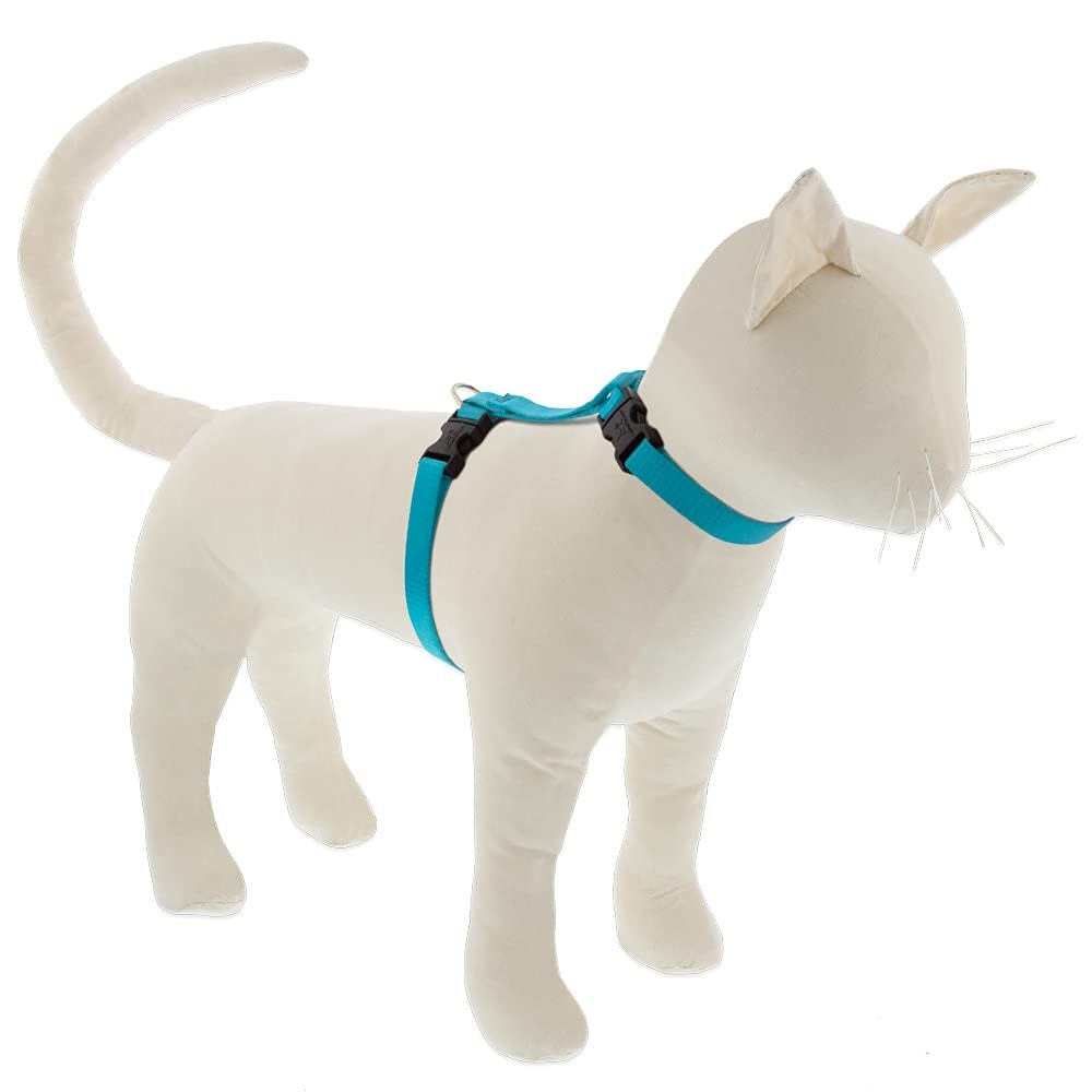 Lupine Cat & Small Pet H-Style Harness Aqua 1/2 Inch Adjustable 9-14 Inch Girth Lupine Cat & Small Pet H-Style Harness Aqua 1/2 Inch Adjustable 9-14 Inch Girth