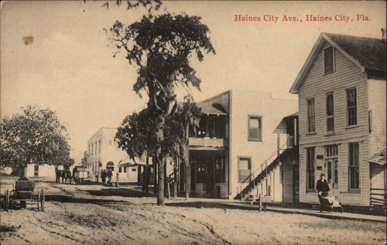 Haines City FL Haines City Ave c1910 Postcard Haines City FL Haines City Ave c1910 Postcard