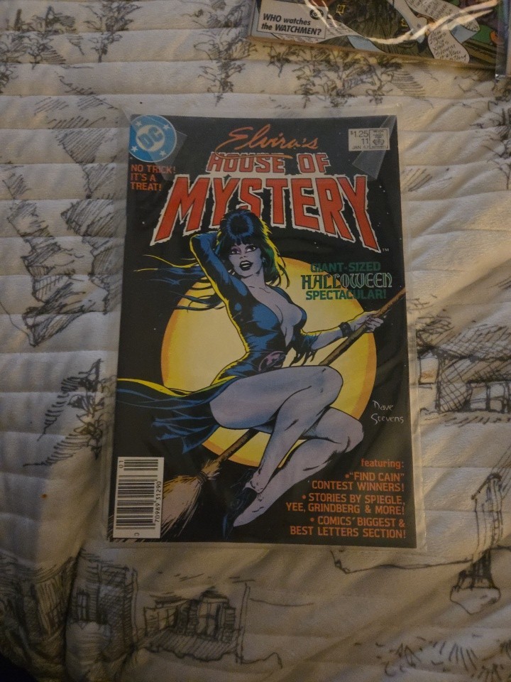 ELVIRA'S HOUSE OF MYSTERY #11 DC COMICS Newsstand HIGH-GRADE DAVE STEVENS COVER ELVIRA'S HOUSE OF MYSTERY #11 DC COMICS Newsstand HIGH-GRADE DAVE STEVENS COVER