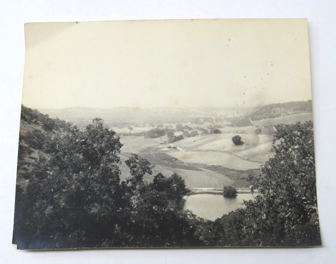 Paso Robles CA c1920s Antique Photograph from Exline Home of Valley 6.25 x 7.75\