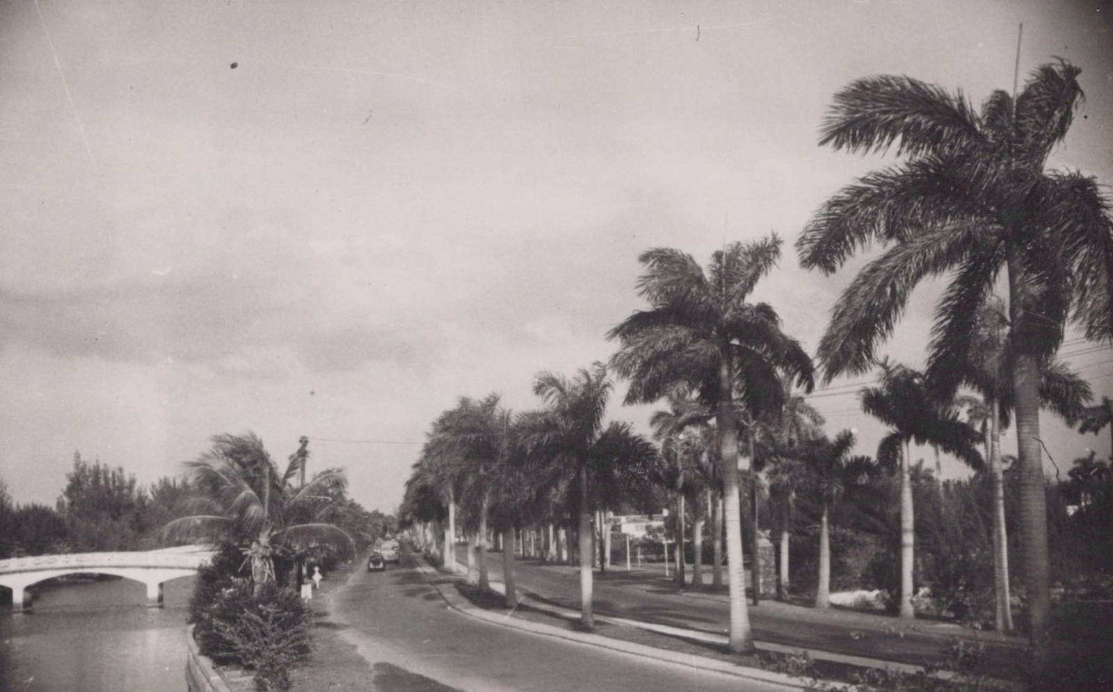 Fort Lauderdale 1944 Las Olas Boulevard Palm Trees Bridge Florida Rare Photo