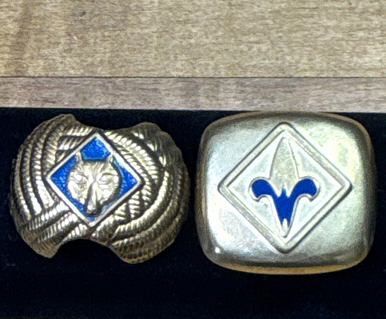 Vintage 1960s Cub Scout Wolf Webelos Neckerchief Slides Brass Enamel Lot of 2 Vintage 1960s Cub Scout Wolf Webelos Neckerchief Slides Brass Enamel Lot of 2