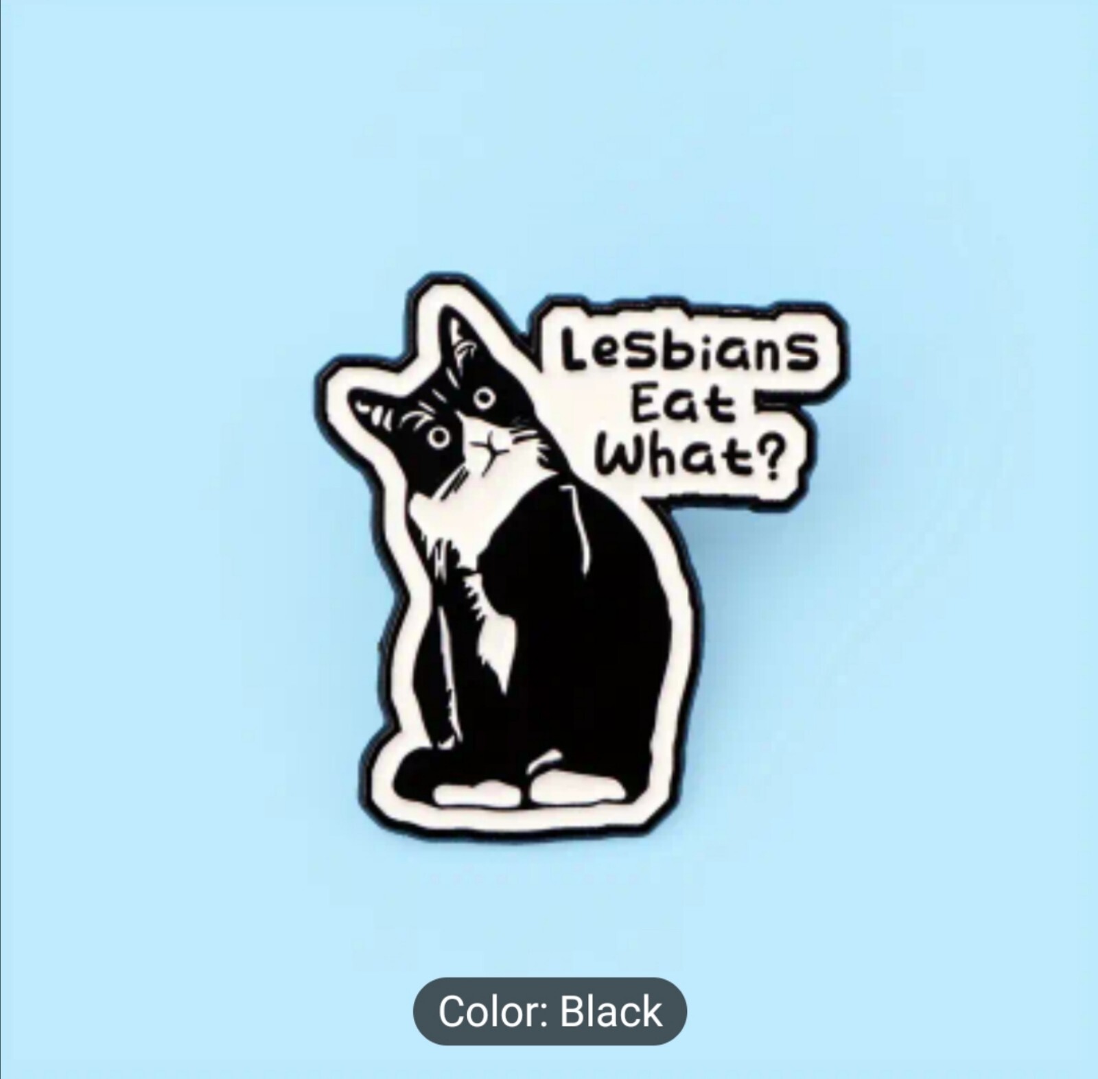 Hilarious Cat \