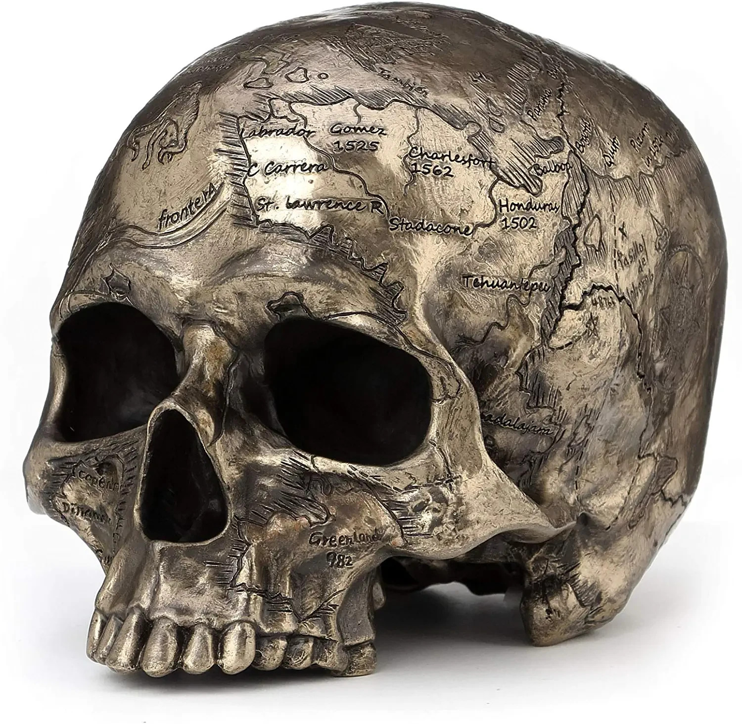 Craniumography Skull Map Cold Cast Bronze Finish Sculpture Craniumography Skull Map Cold Cast Bronze Finish Sculpture
