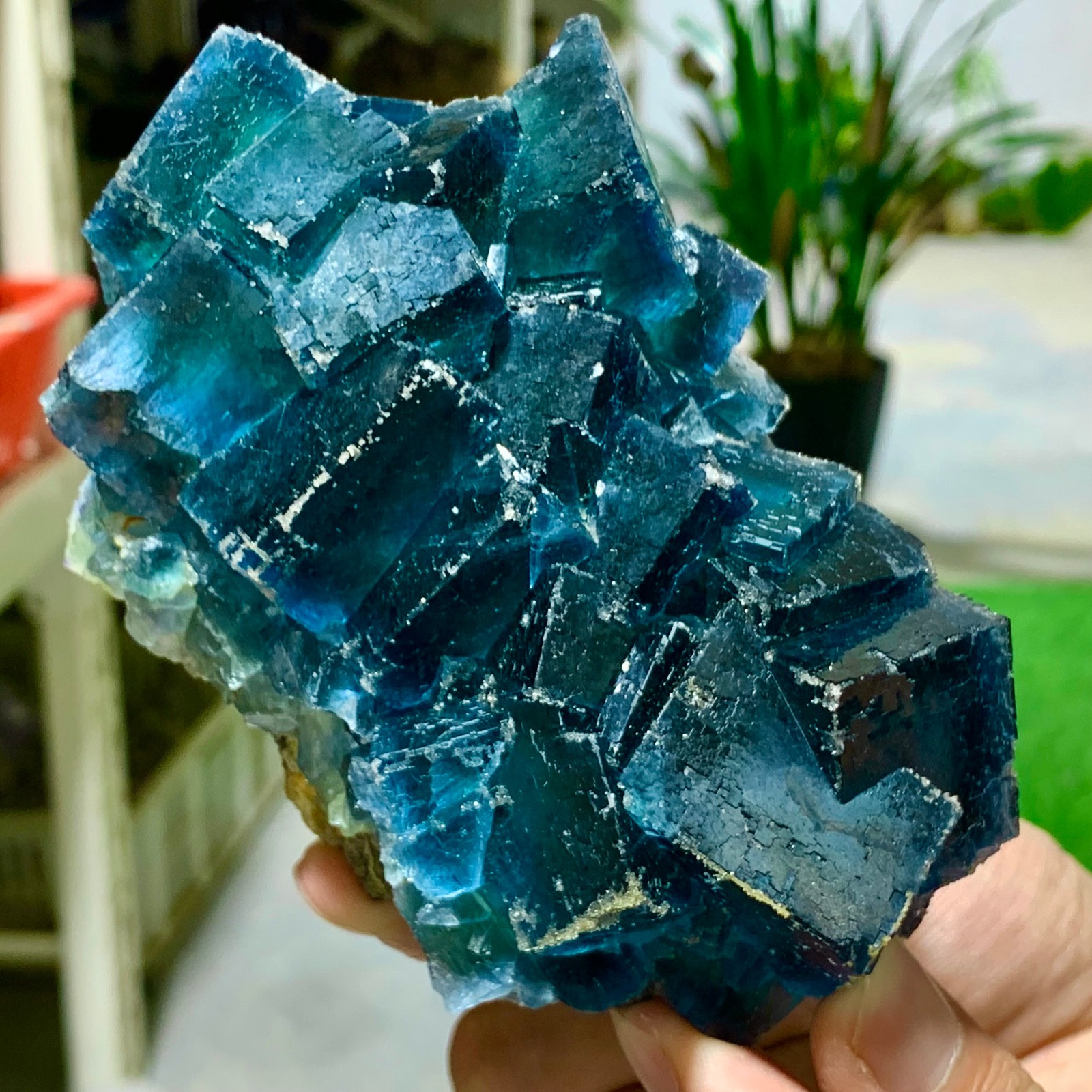 1.55LB Rare transparent blue green fluorite cubic  mineral crystal sample/China