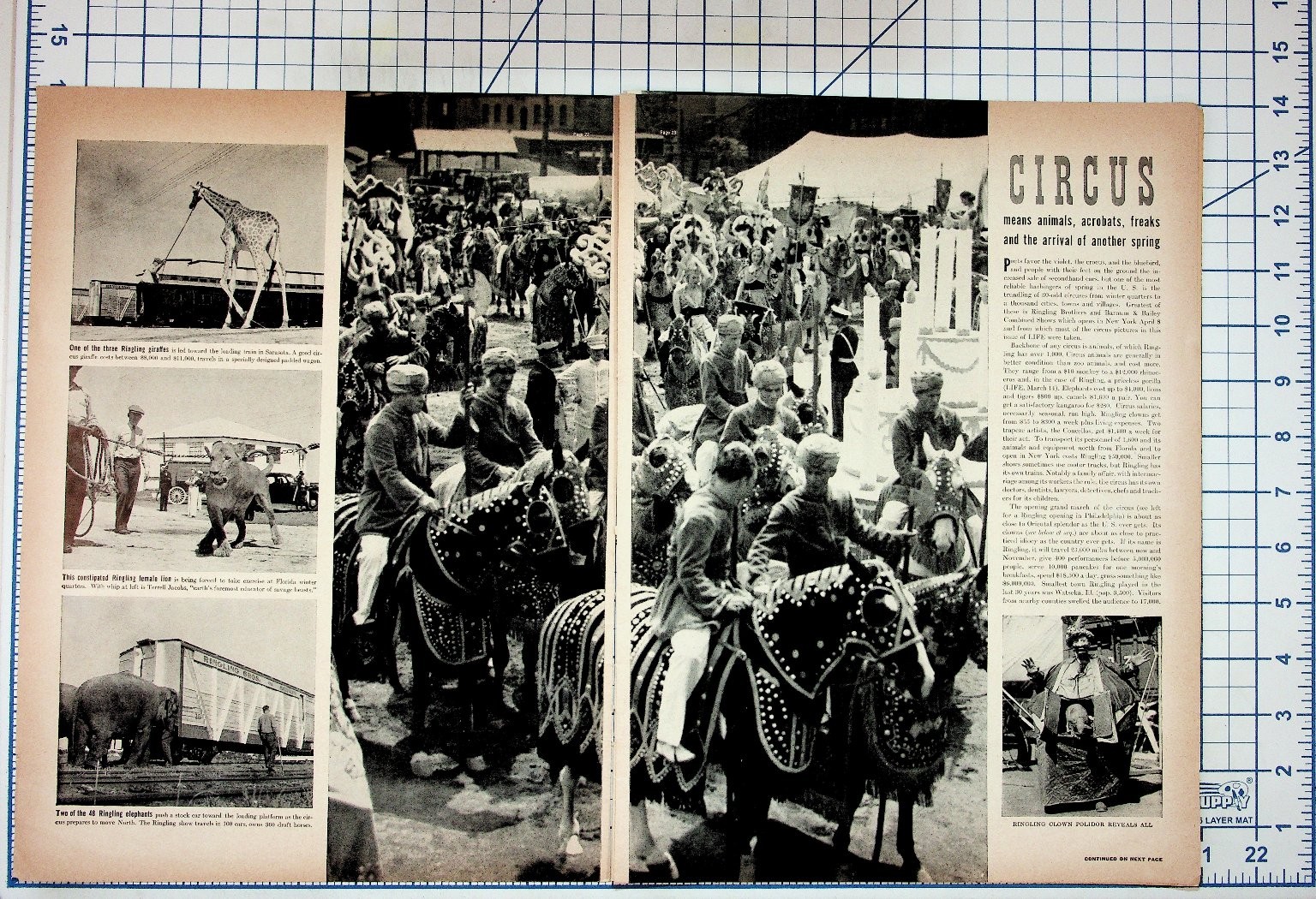 1937 Circus Magazine Article Ringling Bros Fashion Clowns Giraffes Ephemera 1937 Circus Magazine Article Ringling Bros Fashion Clowns Giraffes Ephemera