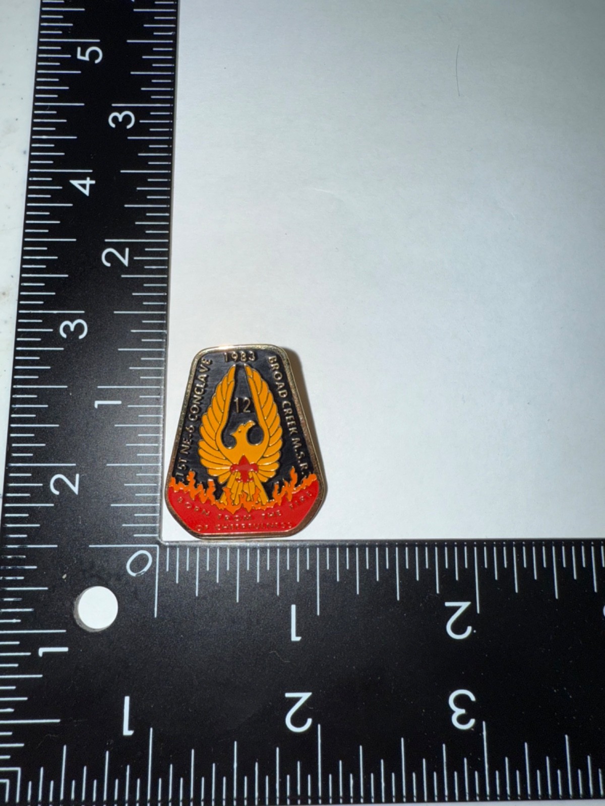 Vintage BSA Broad Creek OA WWW Nentico Lodge 12 1983 Conclave SE-1 Flap Pin
