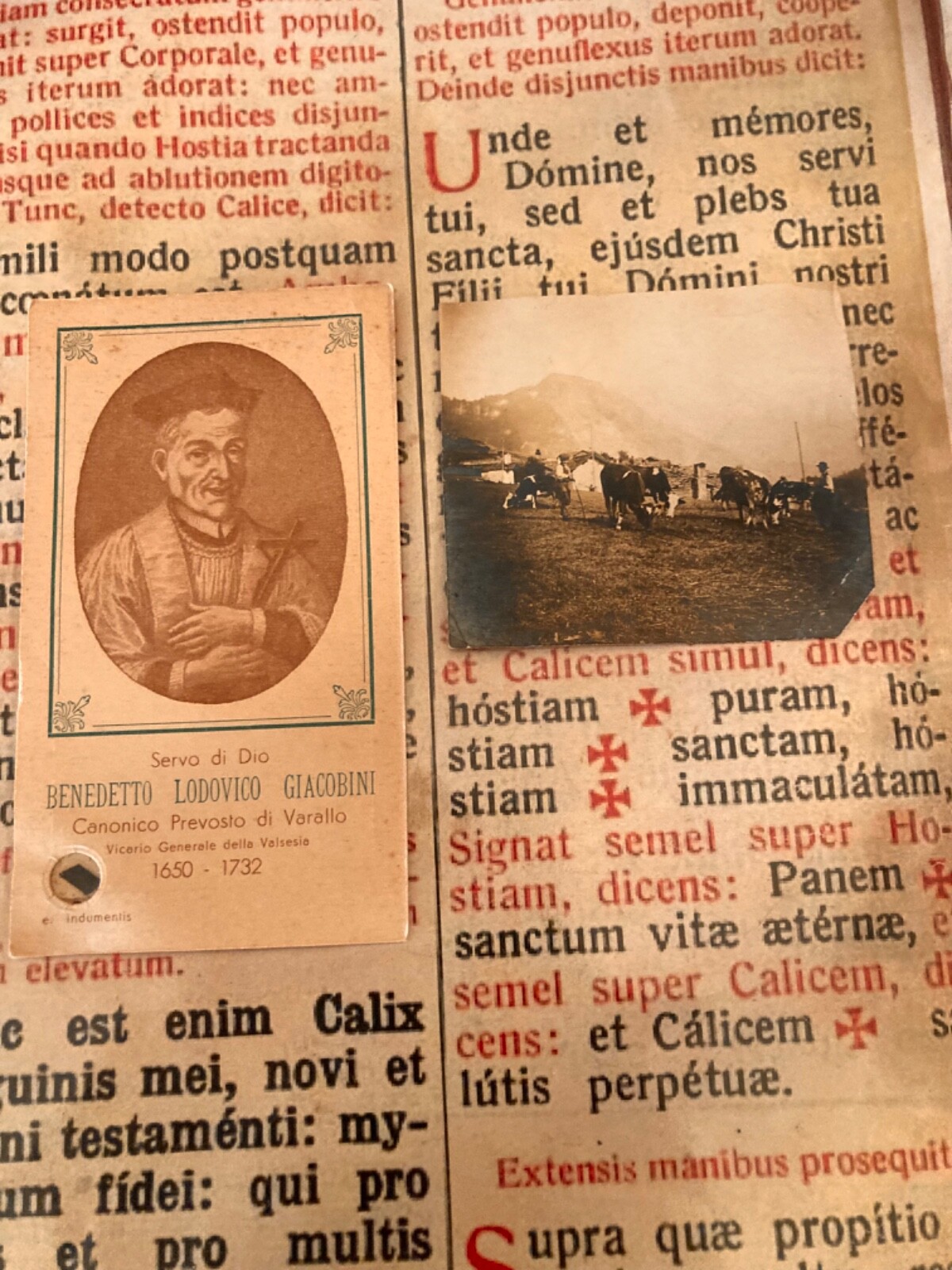 RELICS Miracle Sacred Mount of Varallo & St Jacobini Ludovicus : August 10,1931