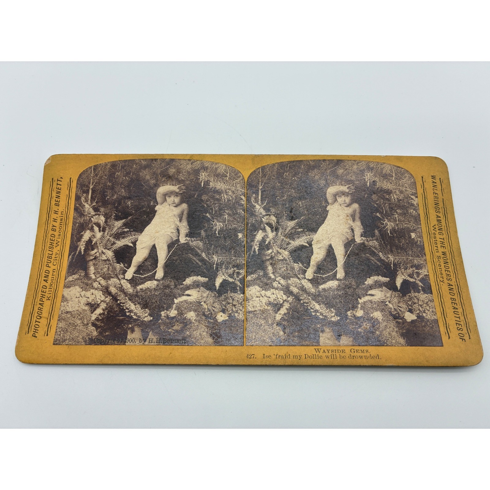 1900 HH Bennett Stereoview Wayside Gems 427 Ise 'fraid my Dollie will be drowned 1900 HH Bennett Stereoview Wayside Gems 427 Ise 'fraid my Dollie will be drowned