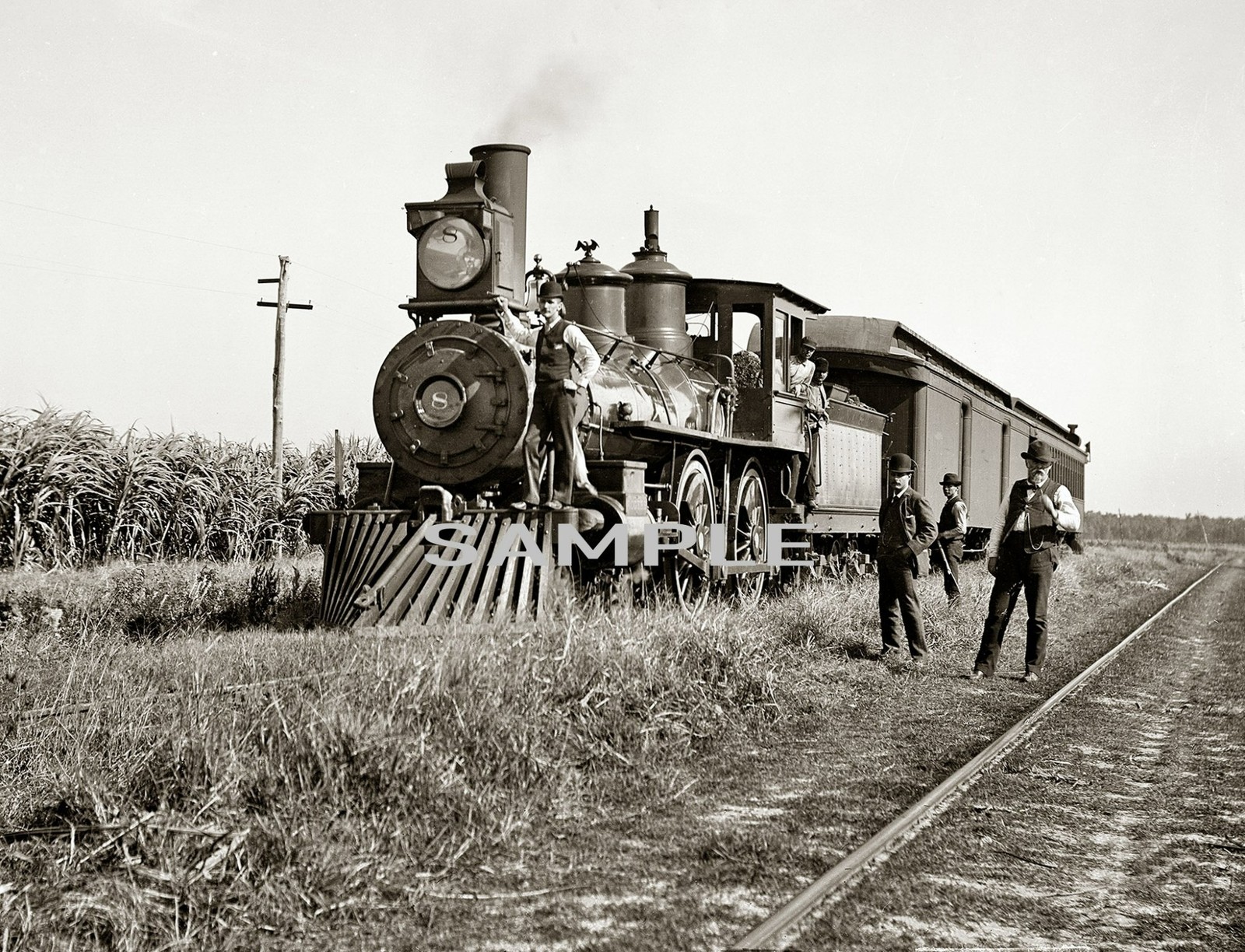 1897 Vintage TRAIN STOPPED in LOUISIANA Cane Fields 8.5x11 PHOTO