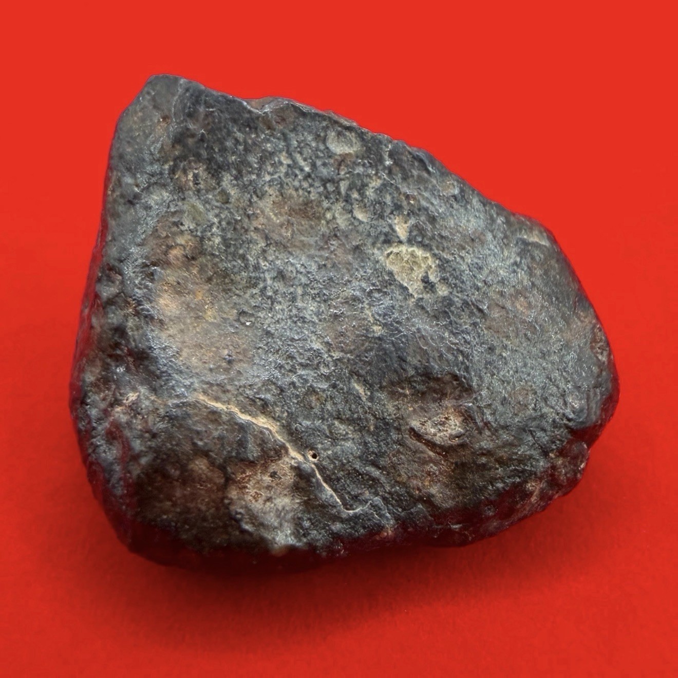 NWA 869 Meteorite, Chondrite Meteorite, Meteorite Collection, Space, 21.94 Grams NWA 869 Meteorite, Chondrite Meteorite, Meteorite Collection, Space, 21.94 Grams