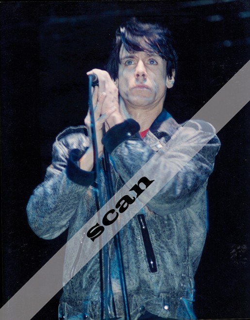 IGGY POP Legendary Musician Live Concert 8X10 PHOTO #A450
