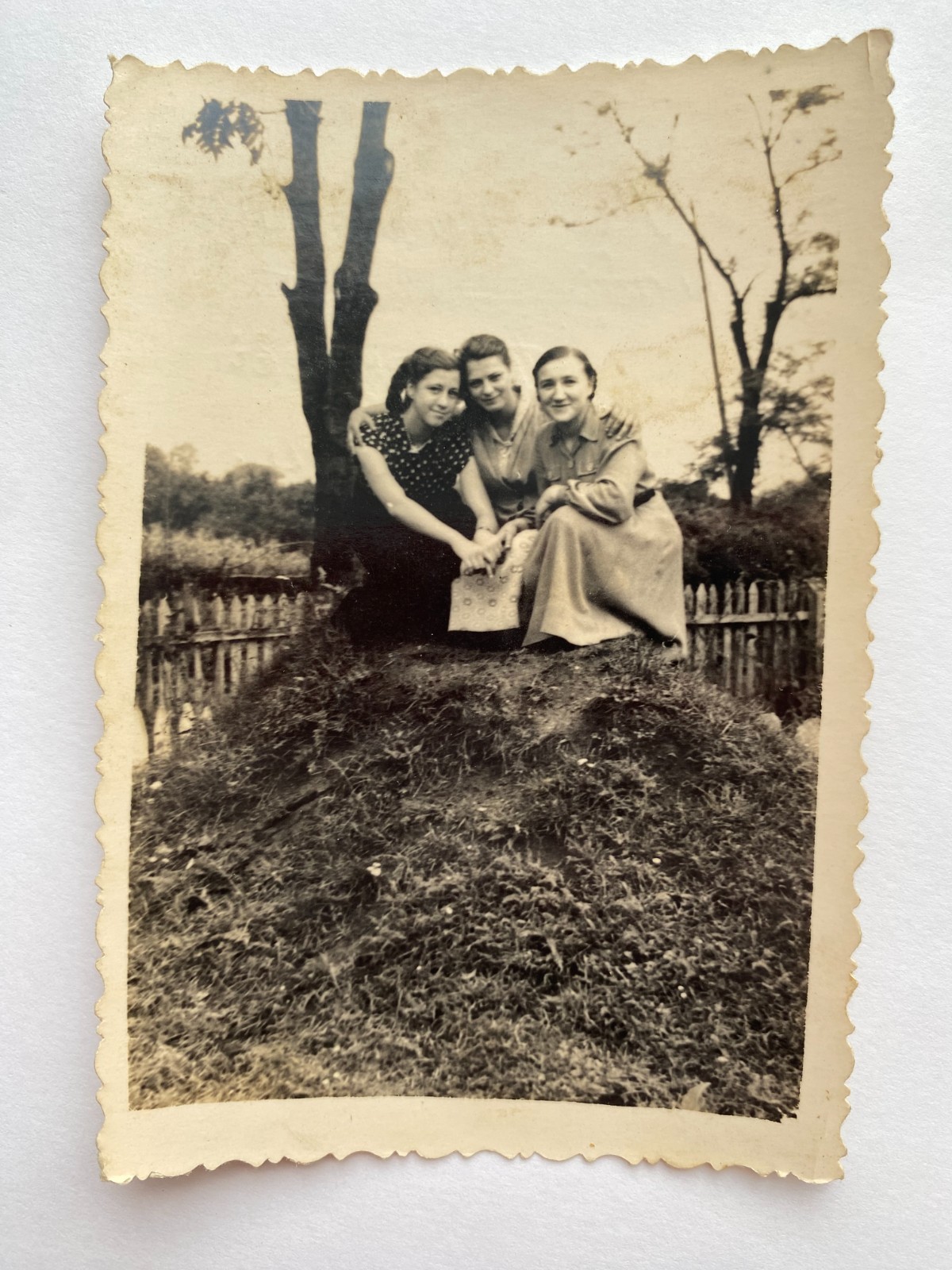 Beautiful girls pretty attractive young women Vintage Photo Beautiful girls pretty attractive young women Vintage Photo